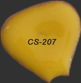 esmalte amarillo cs-207
