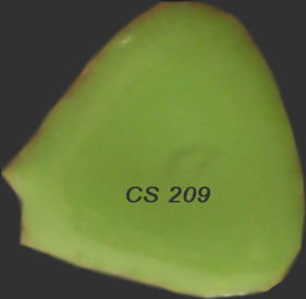 Esmalte CS-209 verde claro
