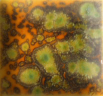 EESP39 verde liquen